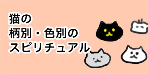 猫が横切る ジンクス|【猫にまつわるスピリチュアルな言い伝え11選】猫が来る家の運。